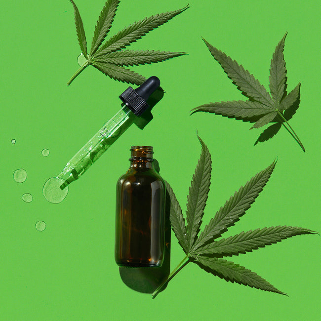 Hemp seed oil in a bottle with dropper with hemp leaves